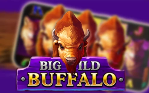 Go wild with Belatra's Big Wild Buffalo!